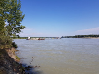 Катунь неподалеку от точки слияния с Бией и образования Оби. Всю навигацию (с мая по сентябрь) баржи вовсю возят вверх по реке продукцию Бийского гравийно-песчаного карьера – так выходит дешевле Катунь неподалеку от точки слияния с Бией и образования Оби. Всю навигацию (с мая по сентябрь) баржи вовсю возят вверх по реке продукцию Бийского гравийно-песчаного карьера – так выходит дешевле