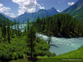 Алтайский край глазами обозревателя «МК» Ольги Богуславской